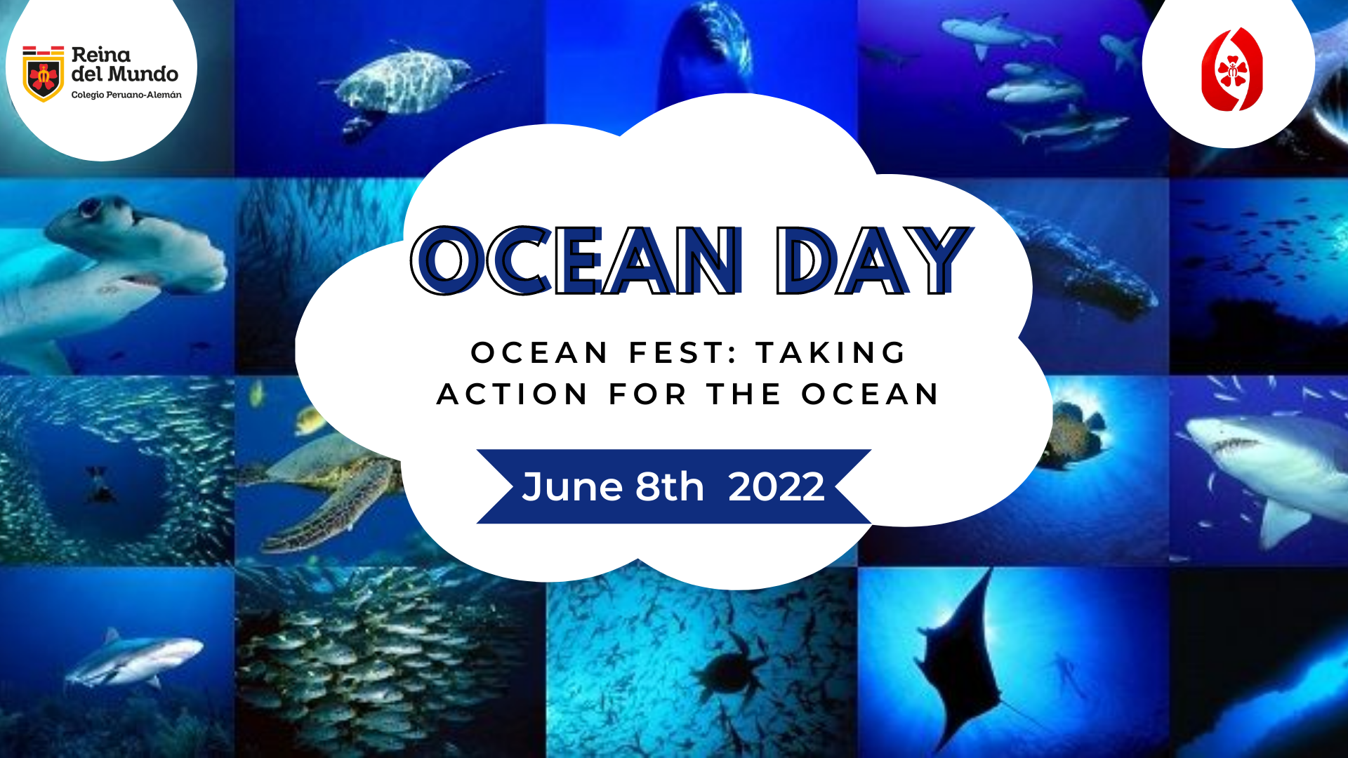 Ocean Fest Take action for the Ocean World Ocean Day