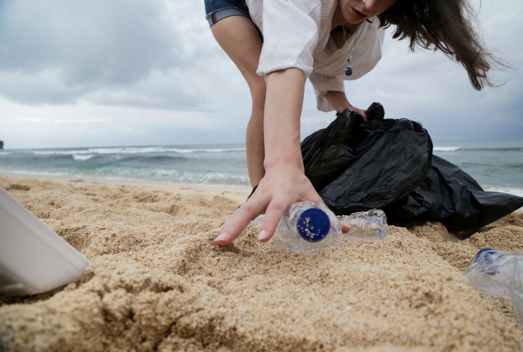 Boondall Wetlands Environment Centre World Ocean Day Clean Up - World ...