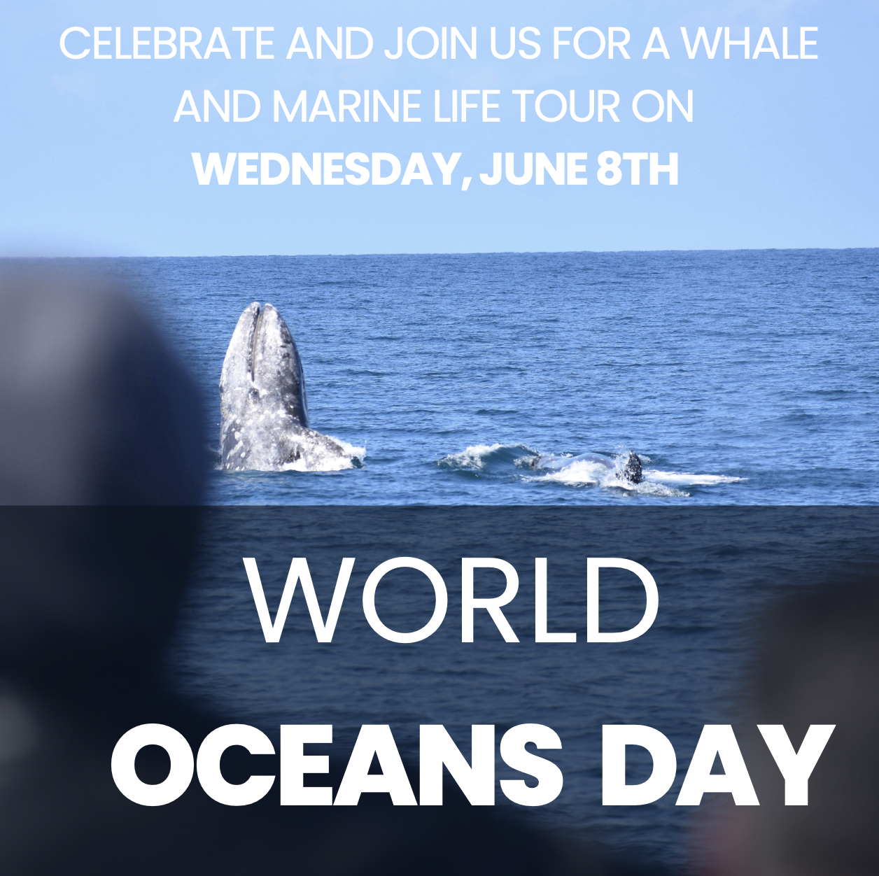 WDC gaming partners celebrate World Oceans Day with a whale of a