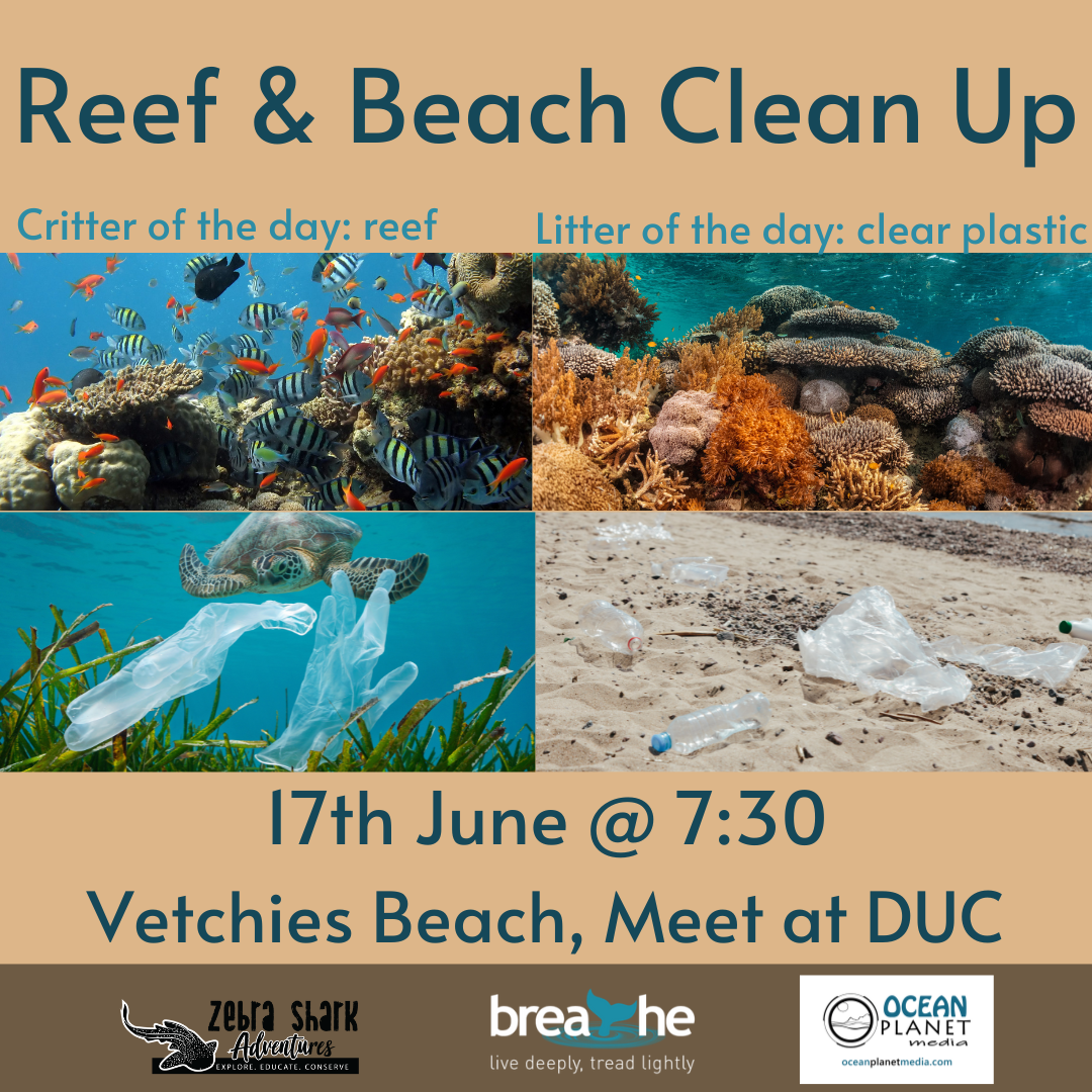 Reef and Beach Cleanup @ Durban Undersea Club 2023