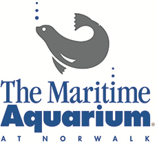 The Maritime Aquarium